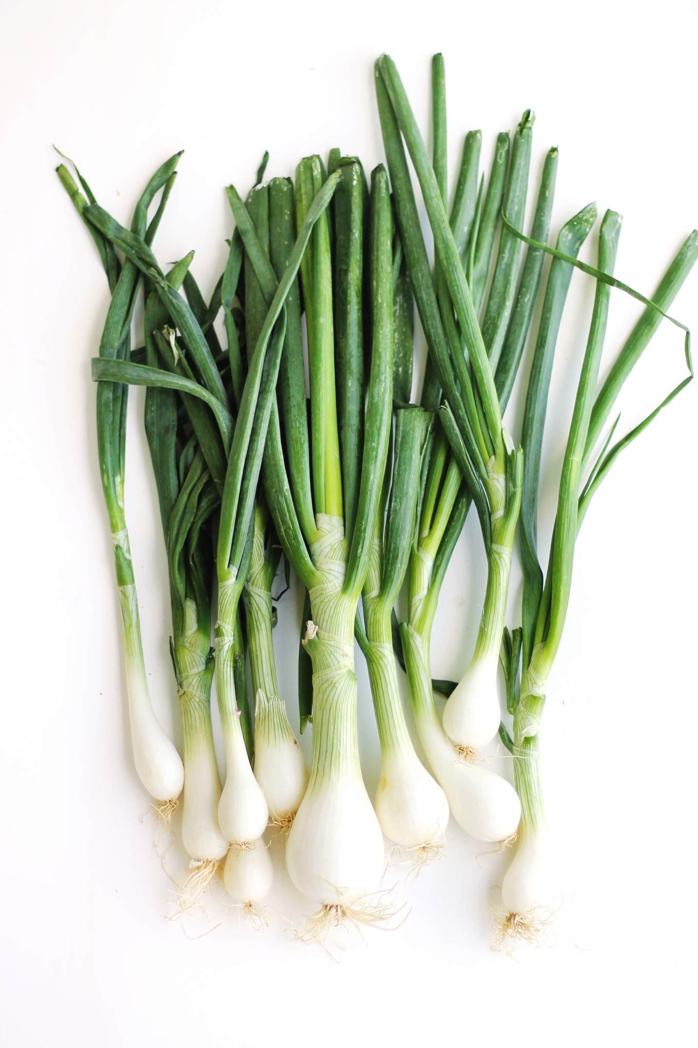 Spring Onions - 葱_0