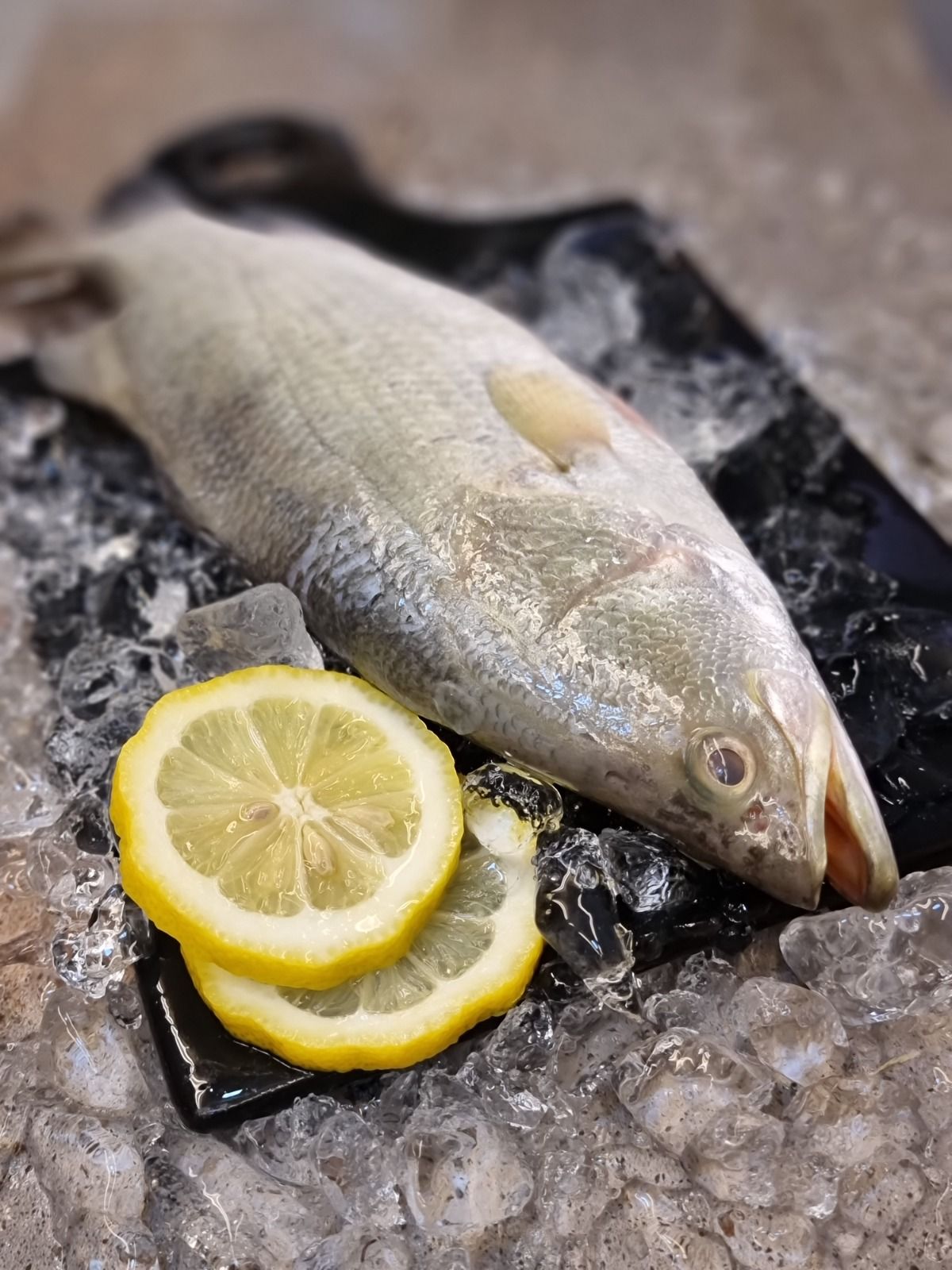 Seabass from Kukup 龟咯金目路_2