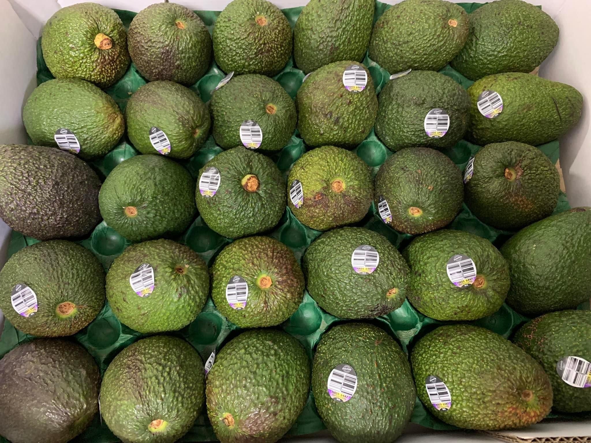 Premium avocado Hass products of Australia RB-LY_0