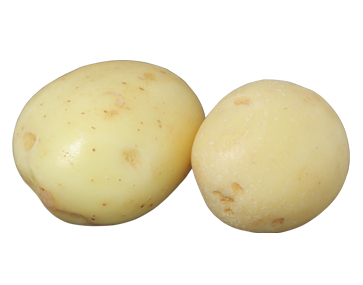 White Washed Potatoes (400g to 500g) - 马铃薯_0