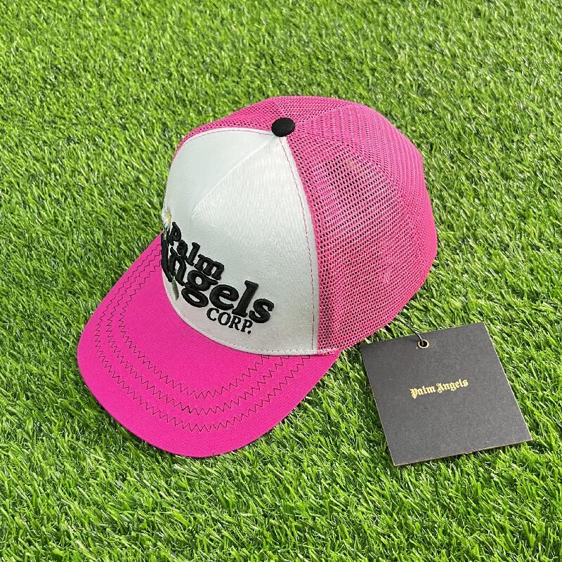 PALM CORP PINK_5