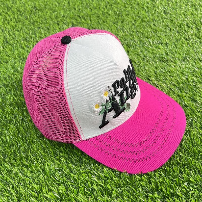 PALM CORP PINK_6