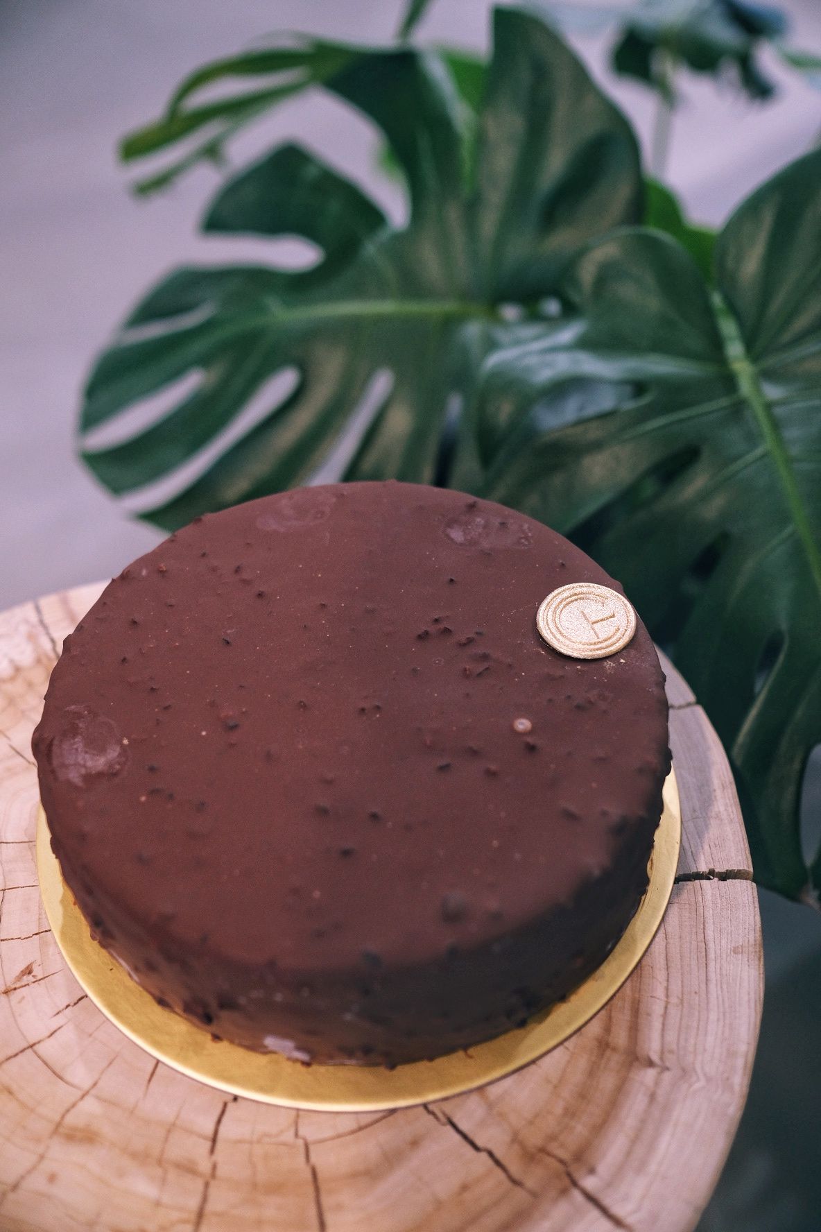 Dark Chocolate IC Cake_0