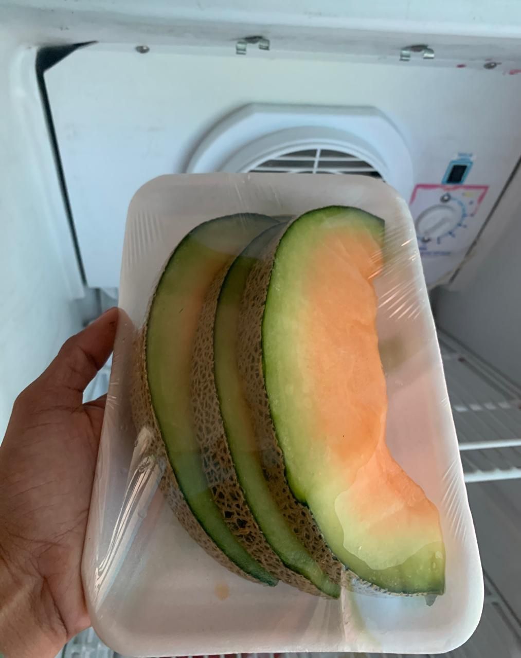 Melon slice_0