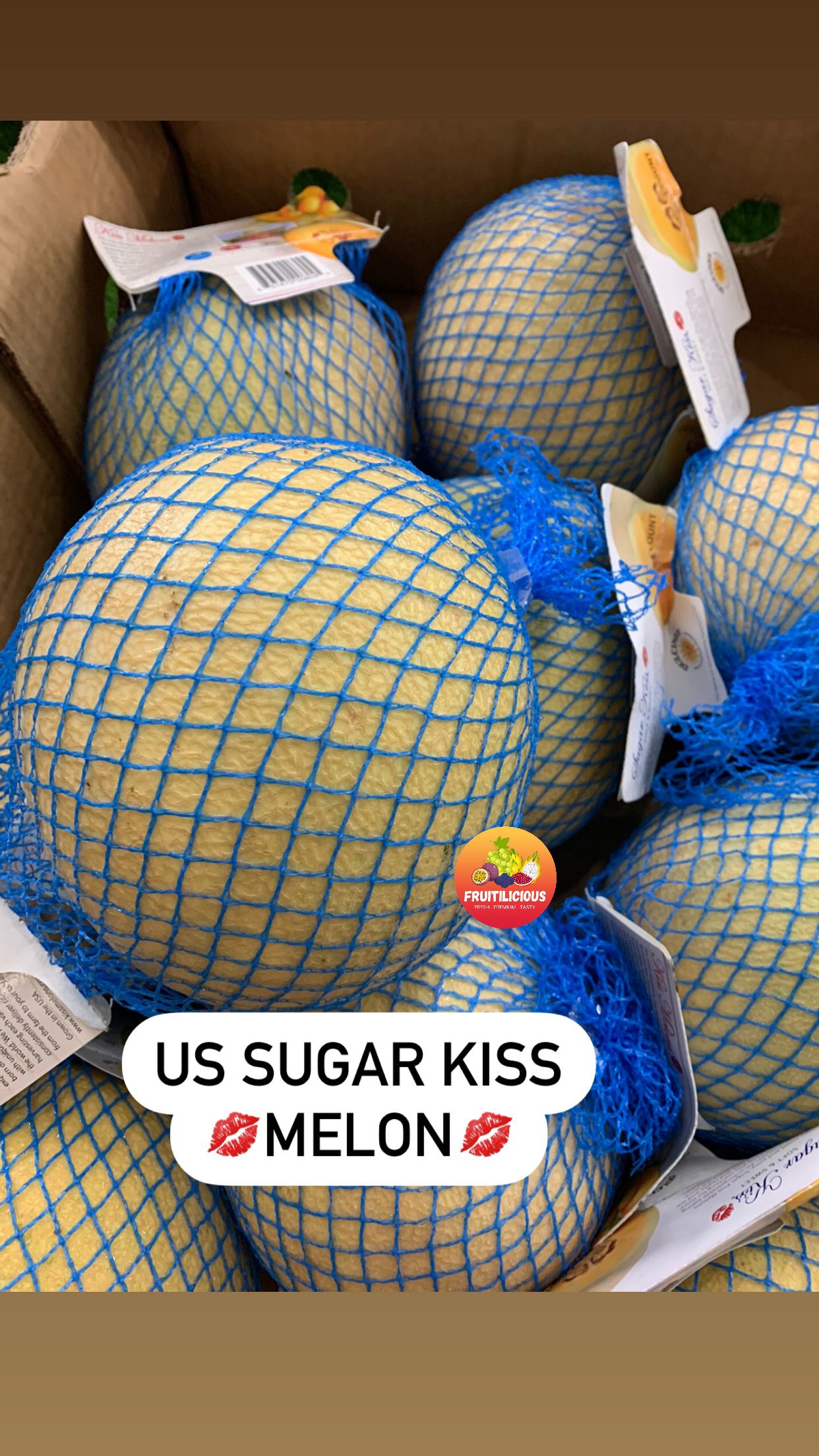 US SUGAR KISS MELON (M)_0