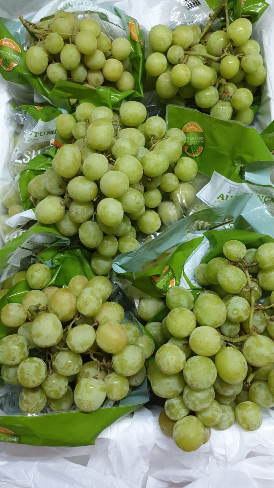 🍀US Crispy Green Grapes 1kg_1