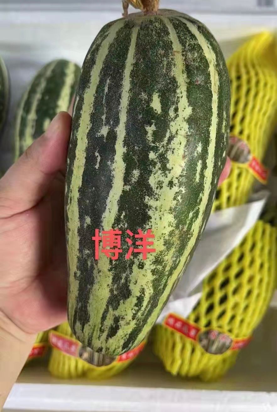 博洋蜜瓜 -$18/2kg_0