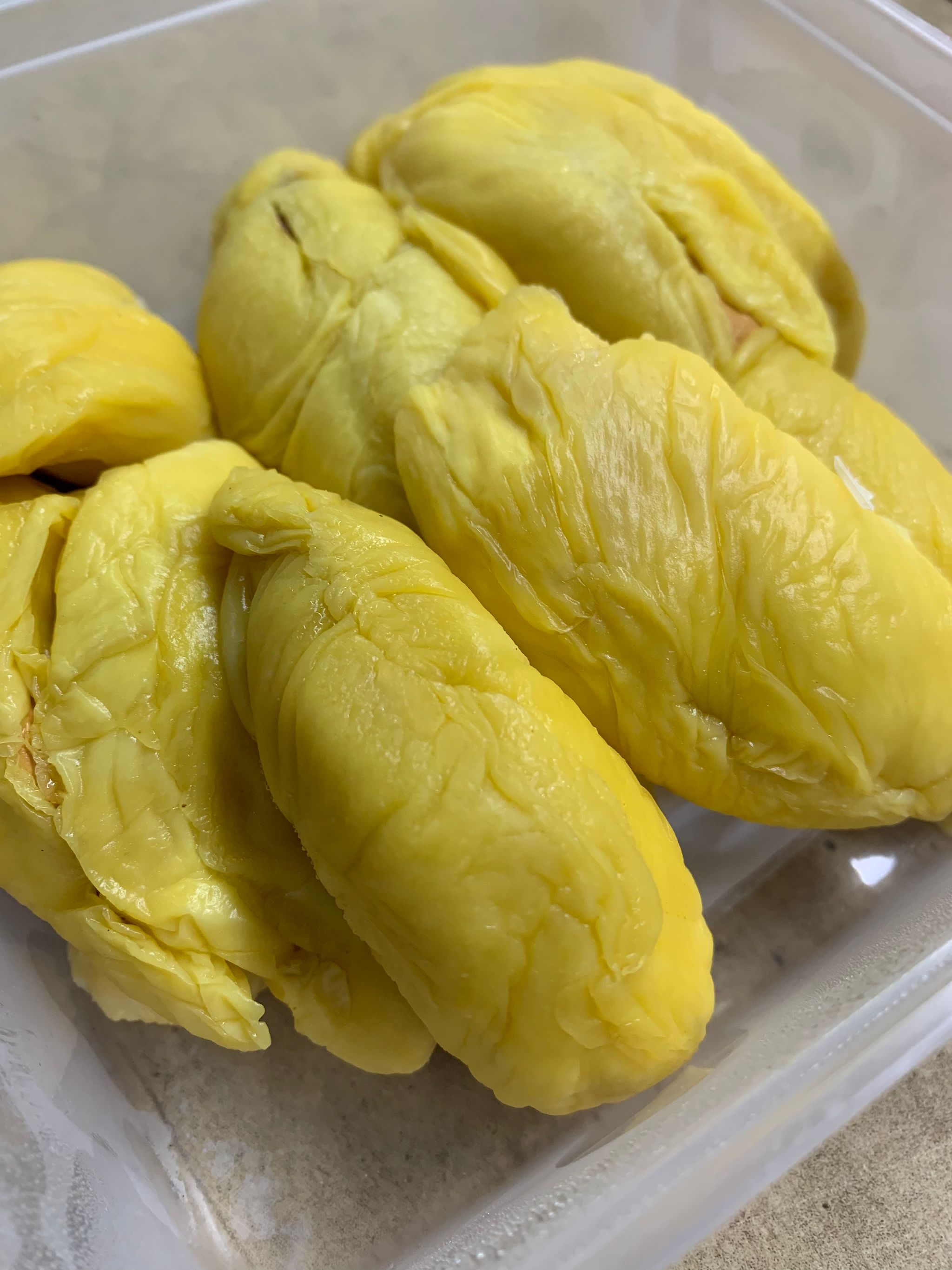 PAHANG MSW DURIAN (彭亨猫山皇) _0