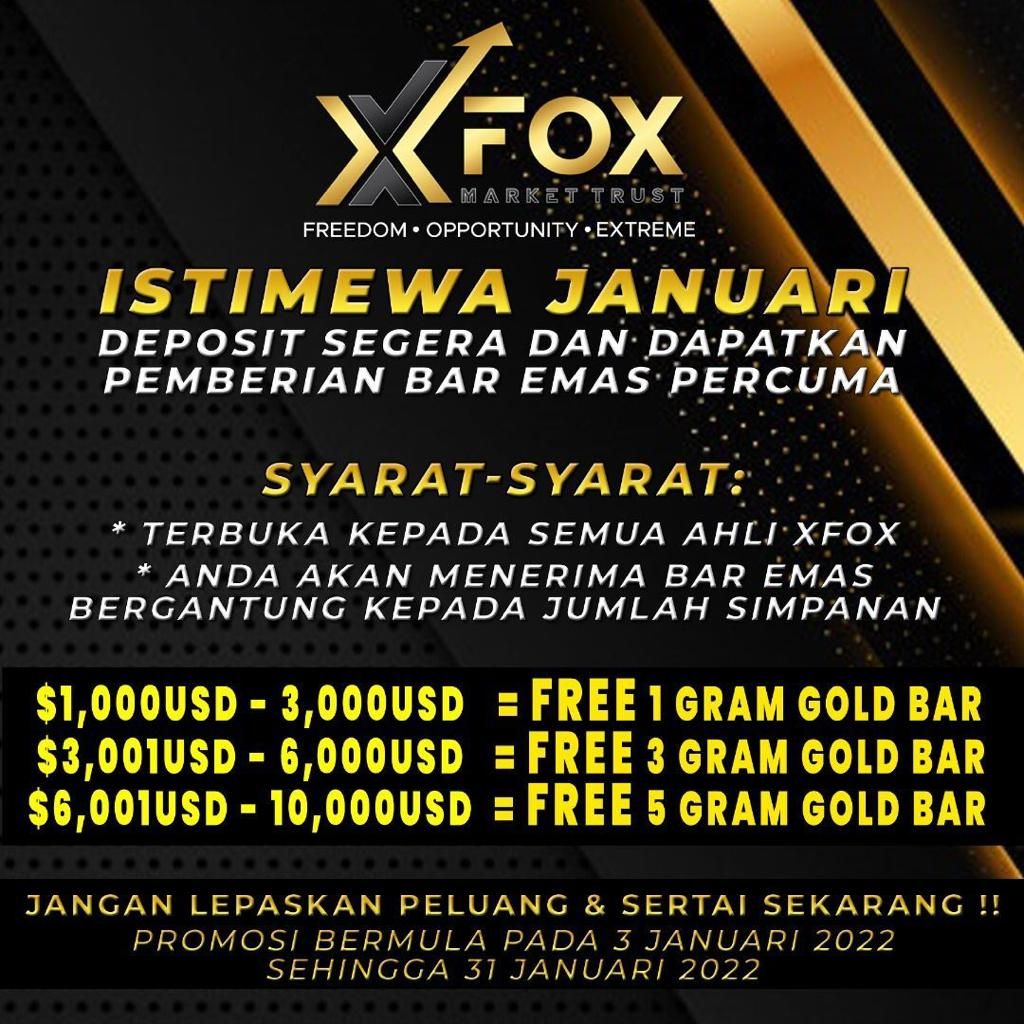 XFox Investment _1