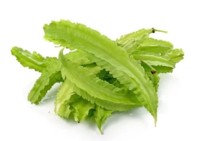 Winged Beans - 四面豆_0