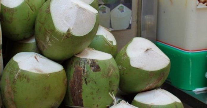 马来西亚清凉椰子 MY Coconut (1pcs)_0