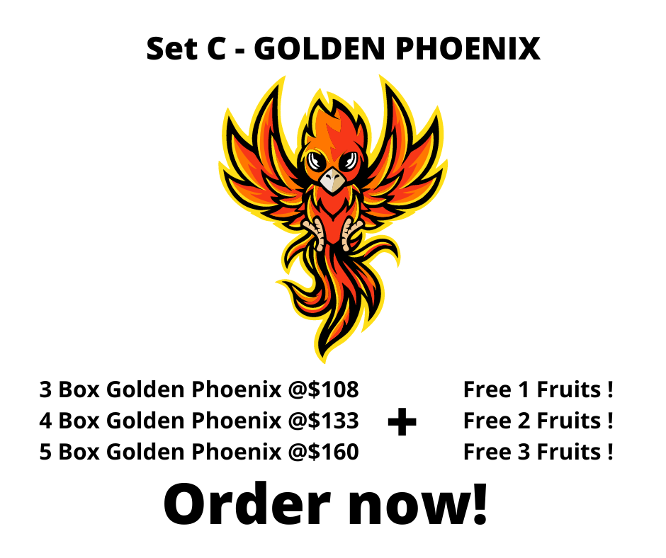 Set C-GOLDEN PHOENIX 【套餐C  - 金凤】_0