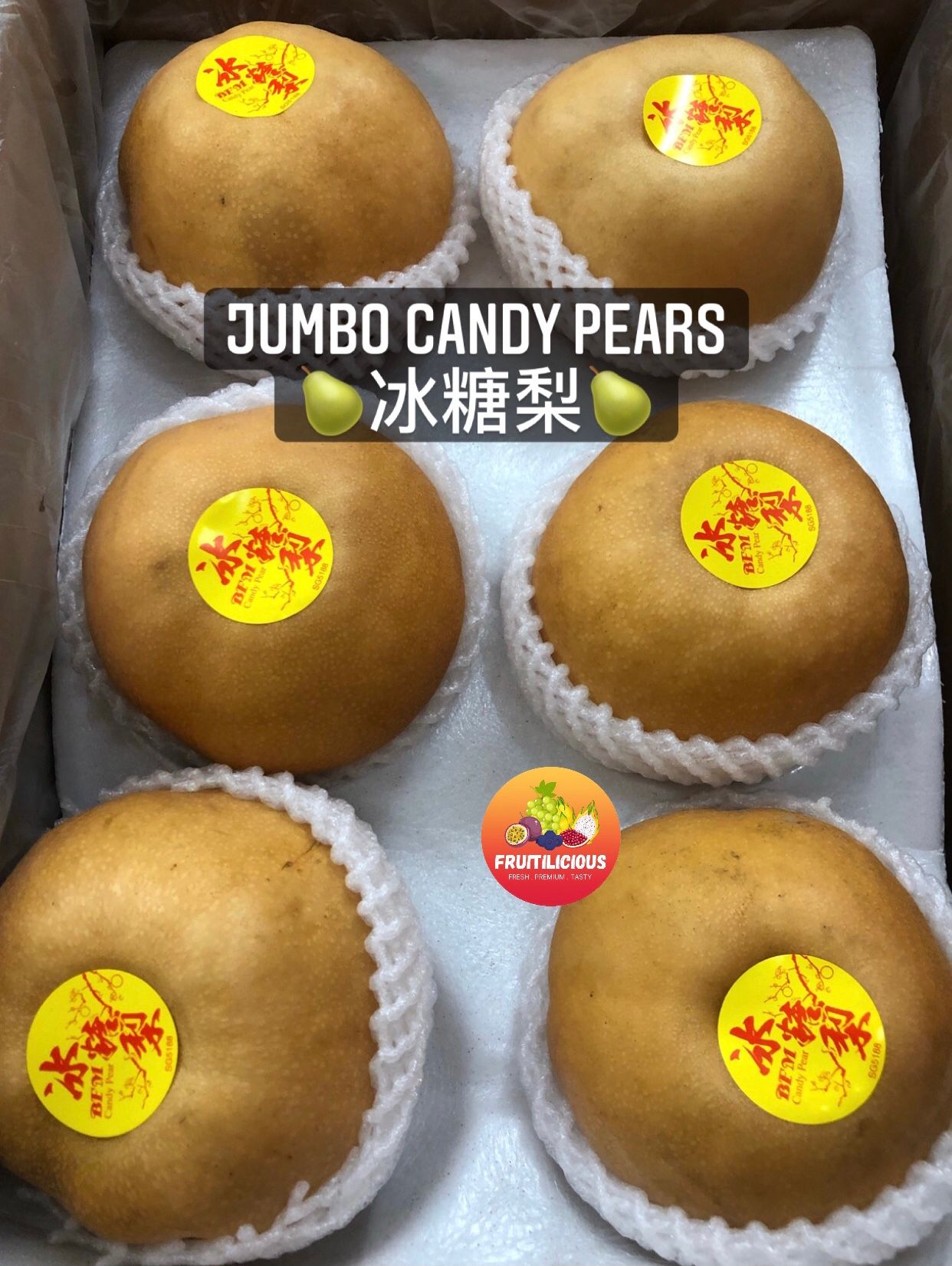 CHN JUMBO CANDY PEARS (冰糖梨）_1