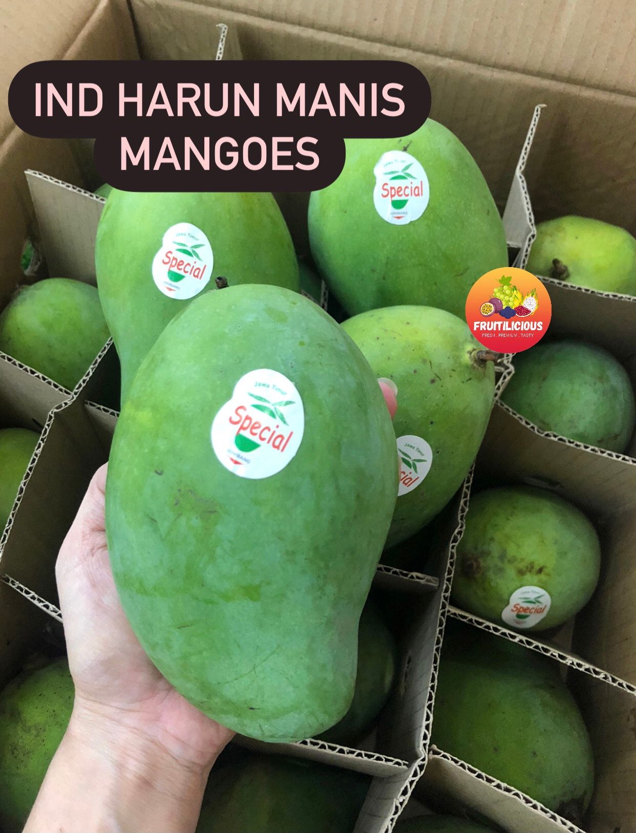 INDO HARUNMANIS MANGOES_0