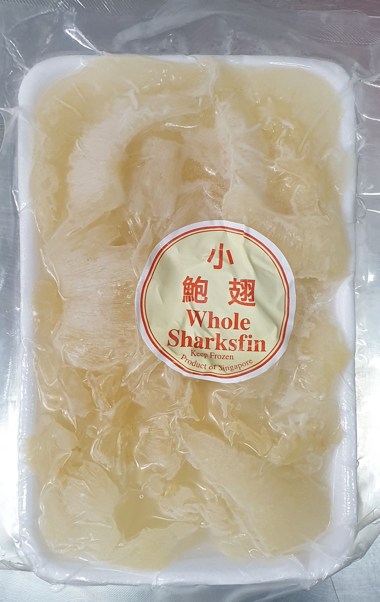 Shark Fin_0