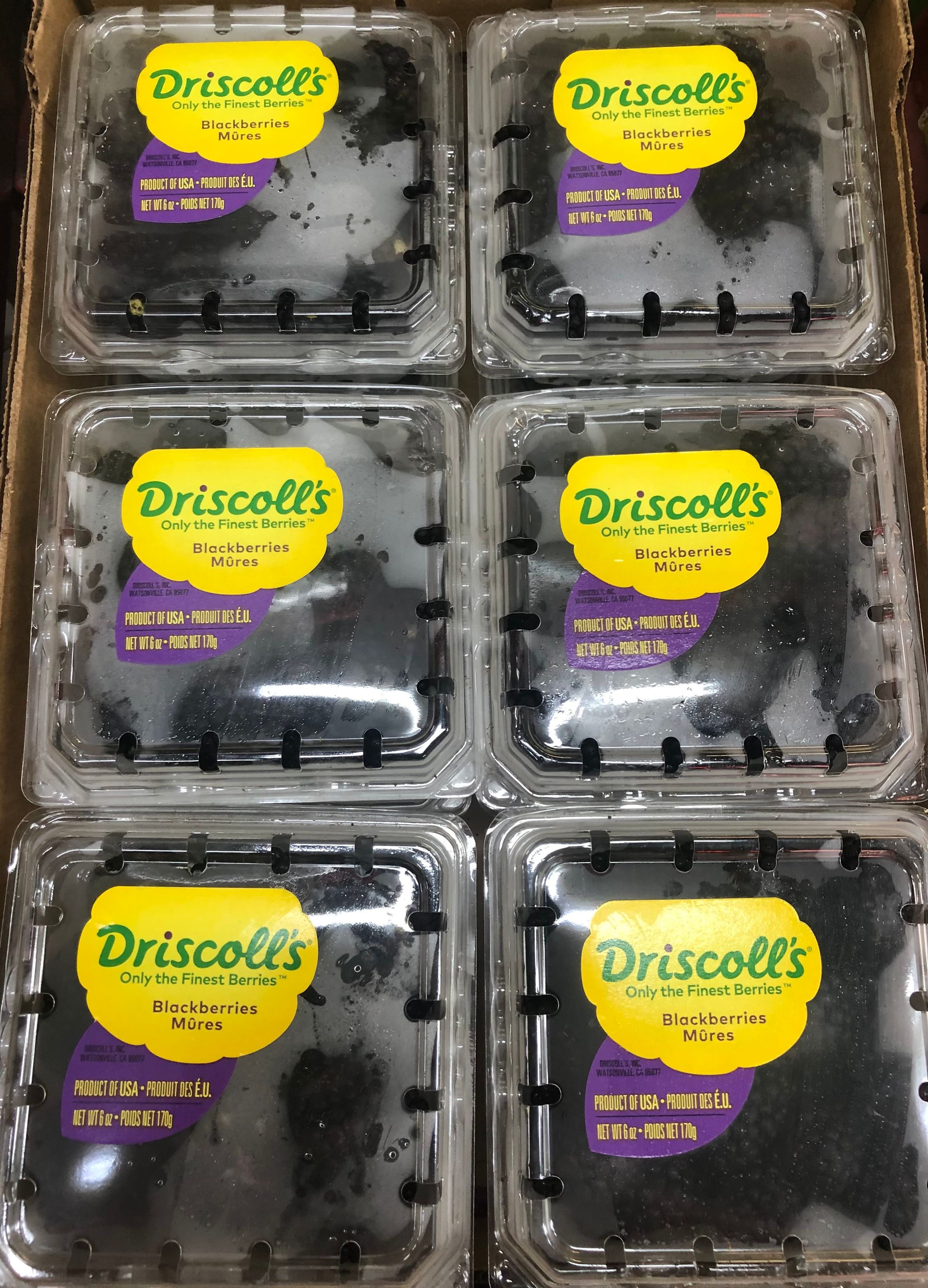 DRISCOLL’S BLACKBERRIES_1