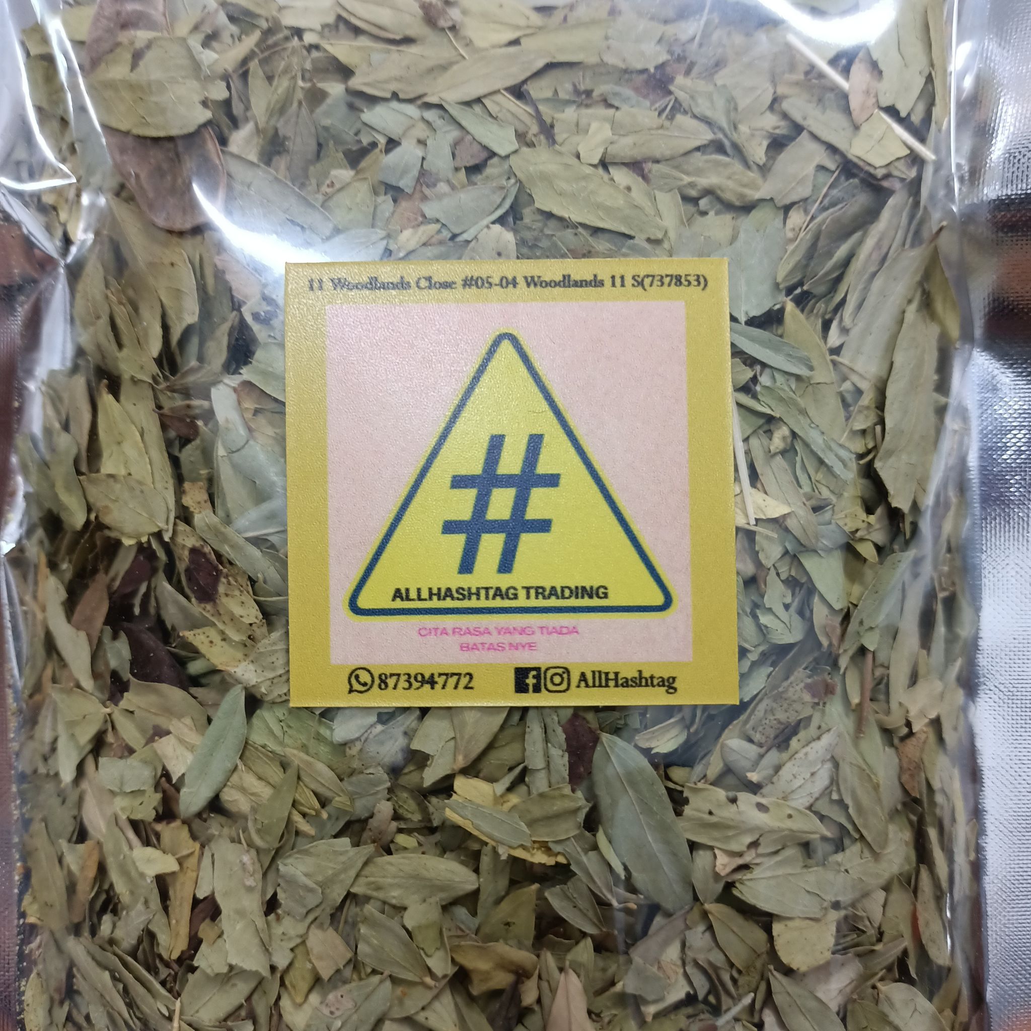 Daun sennah_0