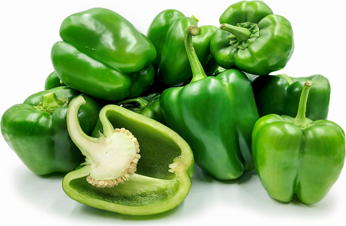 Green Pepper_0