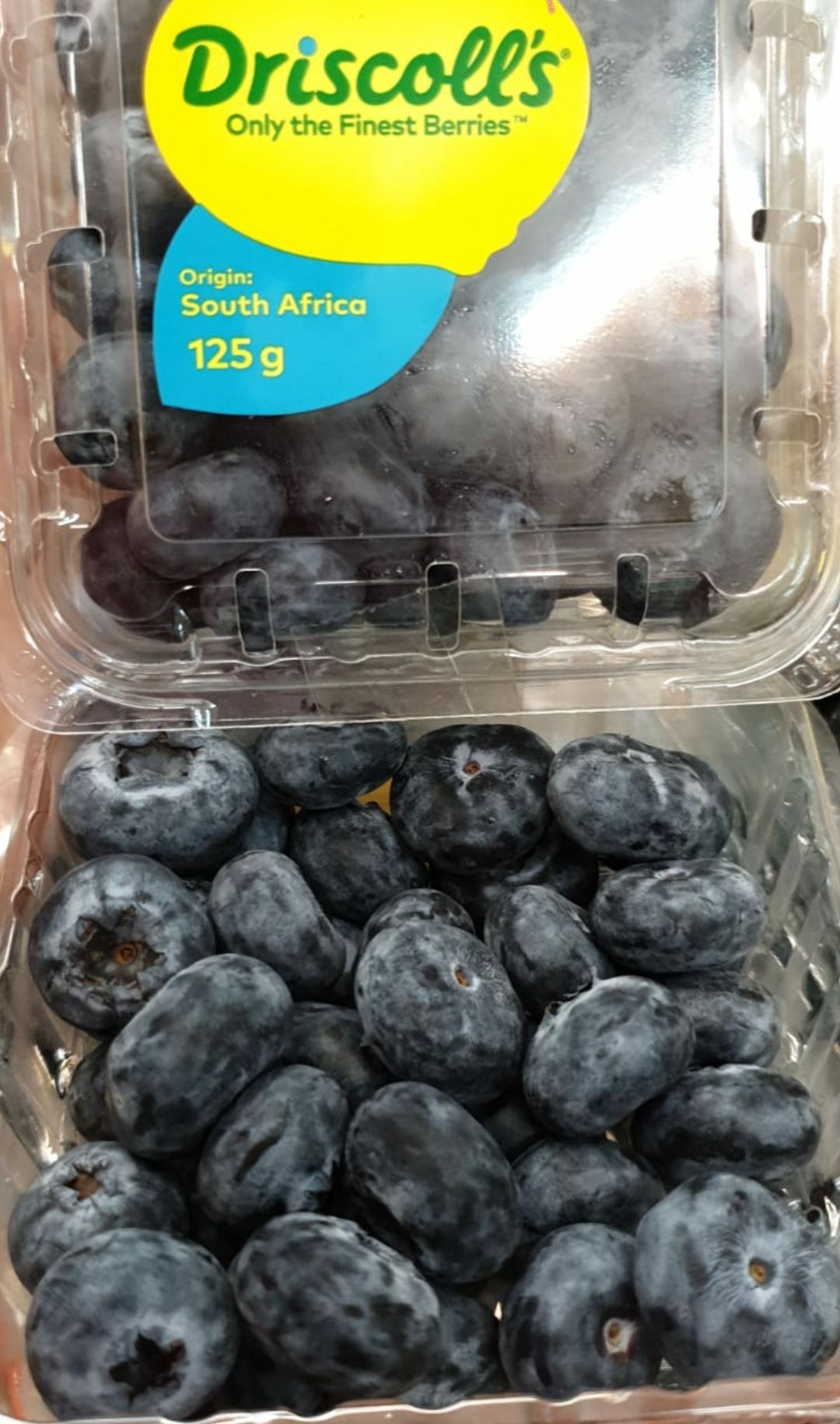 🌏🤴Premium Jumbo Blueberry 200g Big Box_0