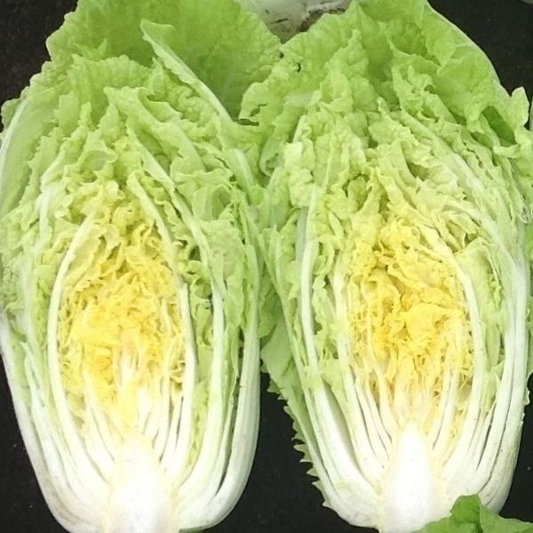 Cabbage - 卷心菜, 白菜, 皇白菜_3