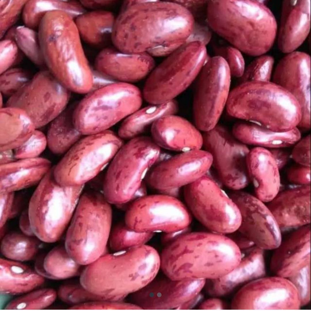 Kacang Merah _0