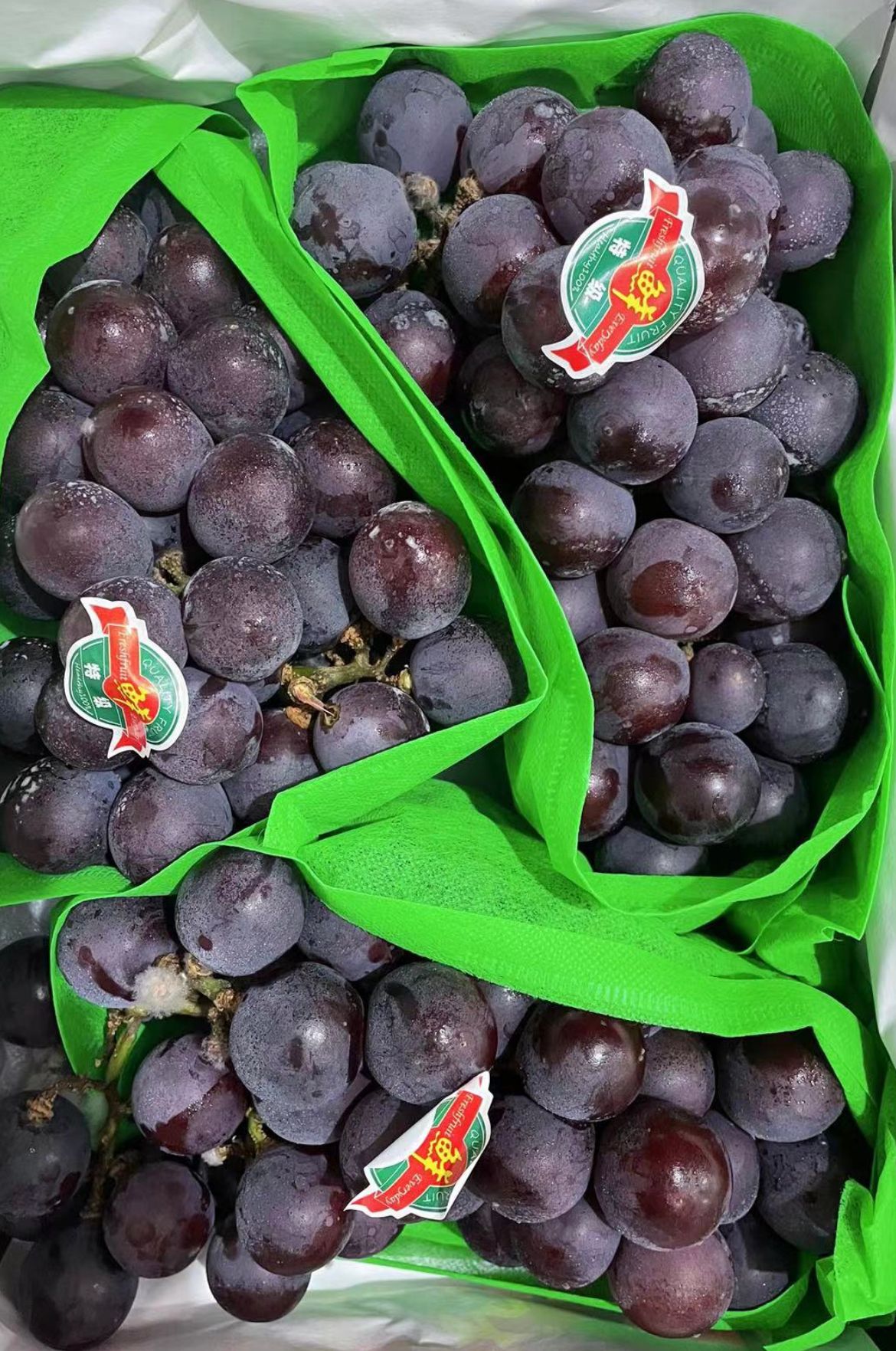 🍇 辽宁巨峰 -$21/1箱/2kg左右_0