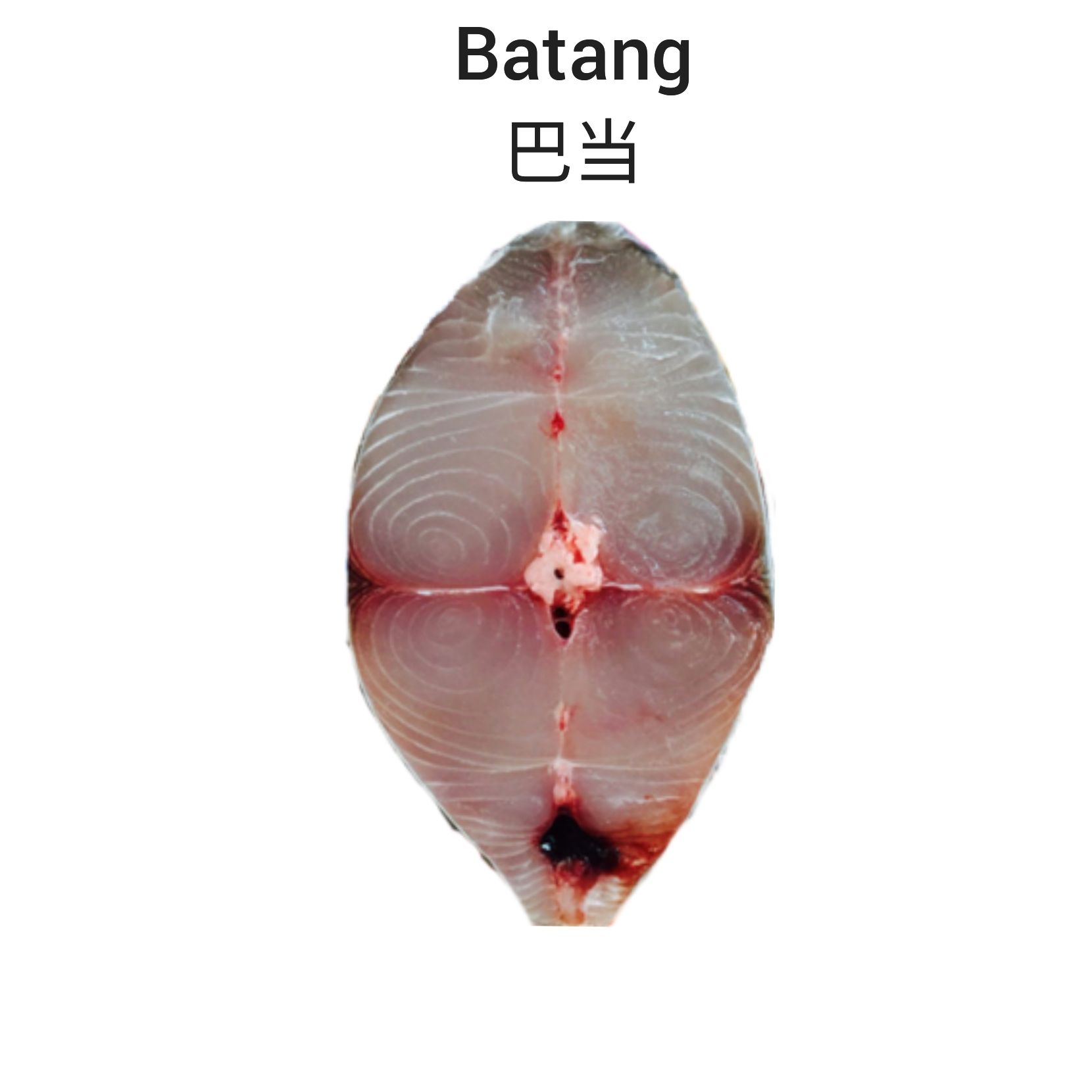 Batang [cut] 巴当_0