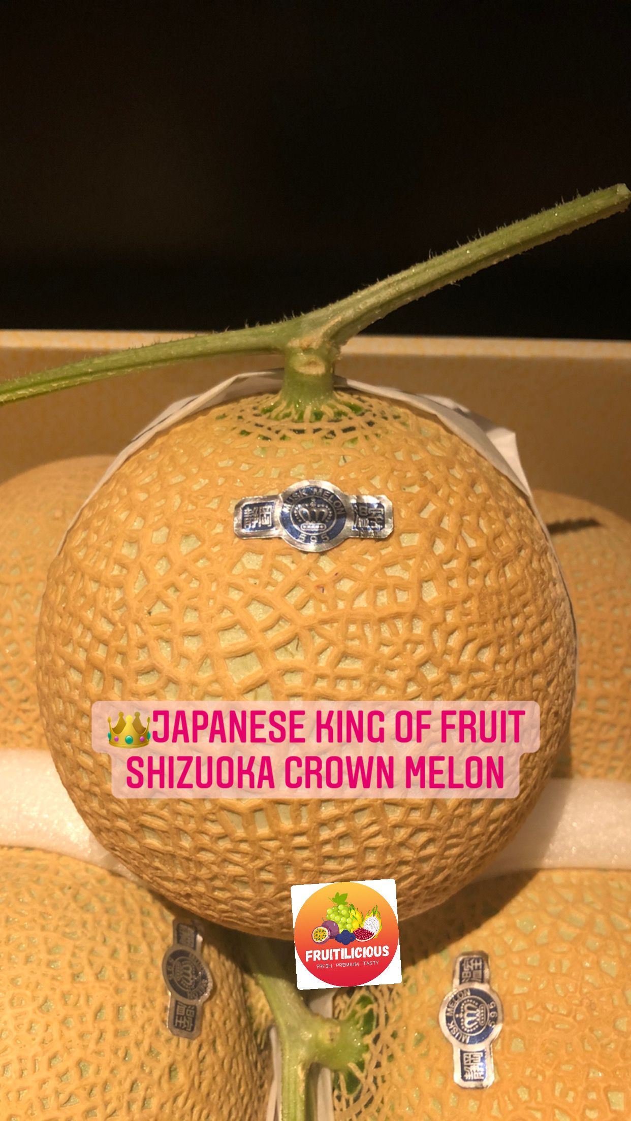 JAPAN SHIZUOKA CROWN MUSKMELON_1