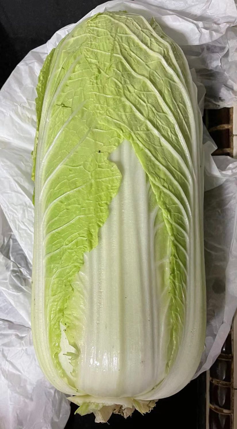 🥬 白菜 -$3/1颗/约3kg_1