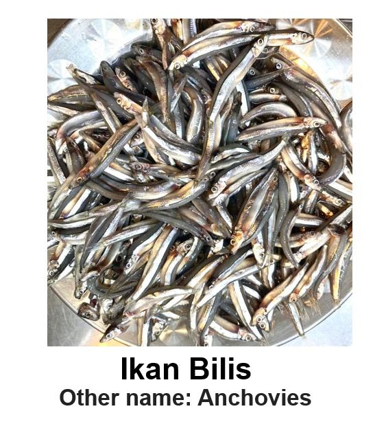 ANCHOVIES (IKAN BILIS)_0