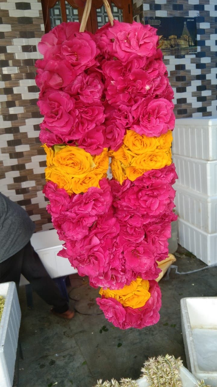 Panneer Rose Garland_0