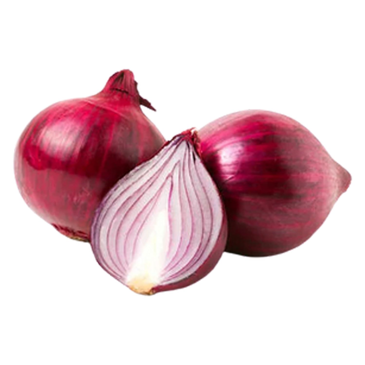 Red Onion _0