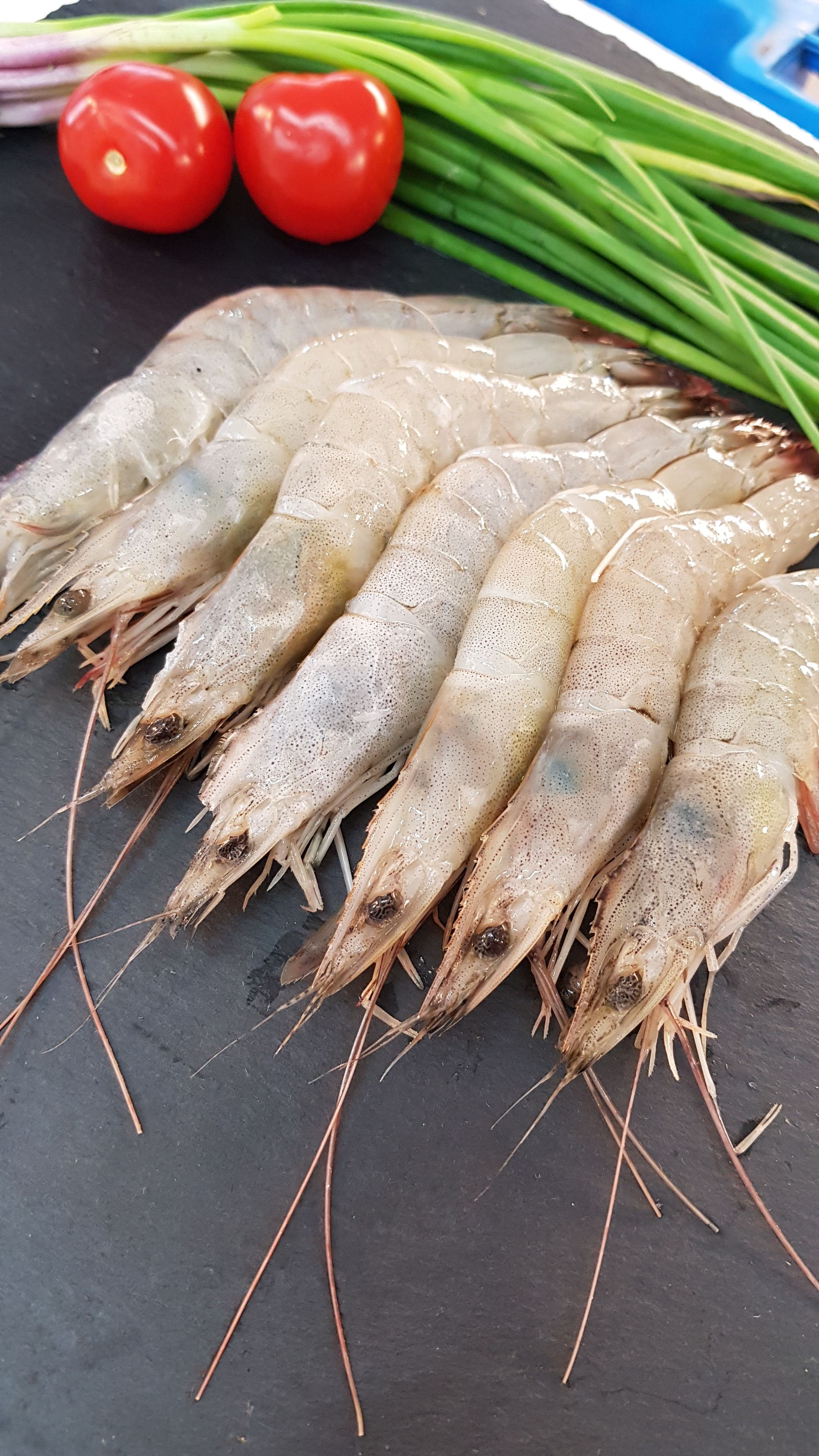Air Freight Medium Grey Prawns 中白刺虾或中飞机虾 (500g) _0
