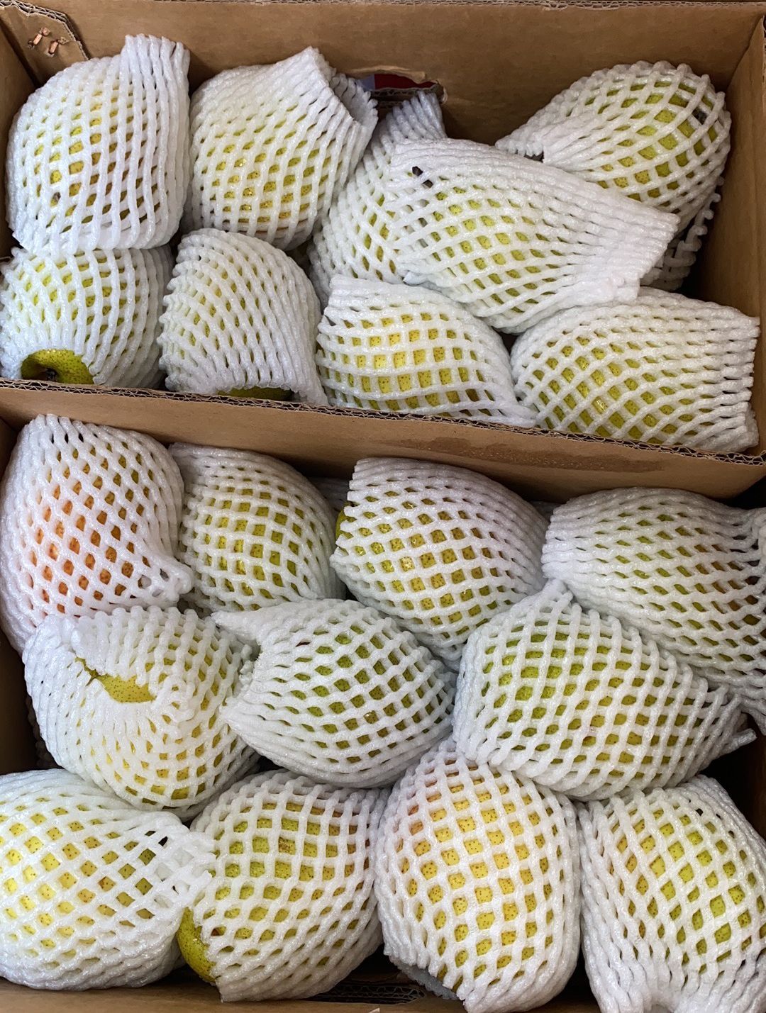 🍐库尔乐香梨 Pears -$19/1箱/~6.5-7kg_1