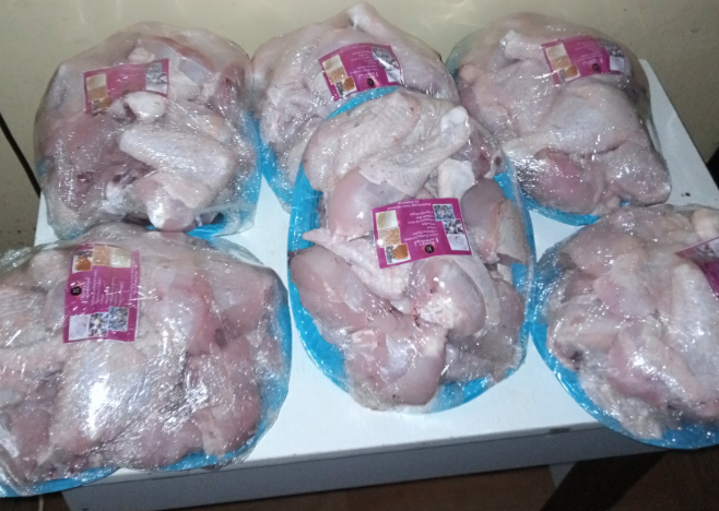 Breeder chicken_0