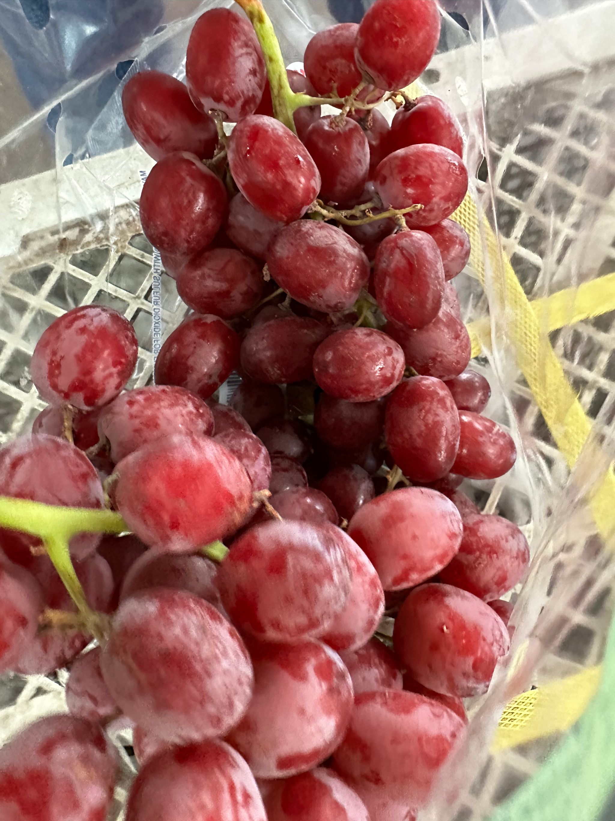 USA Allison seedless Red Grapes 1kg O_1
