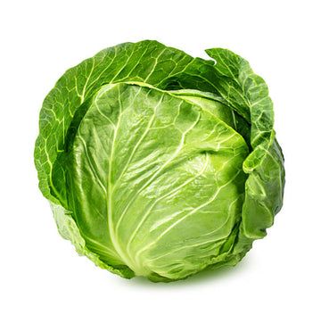 Cabbage_0