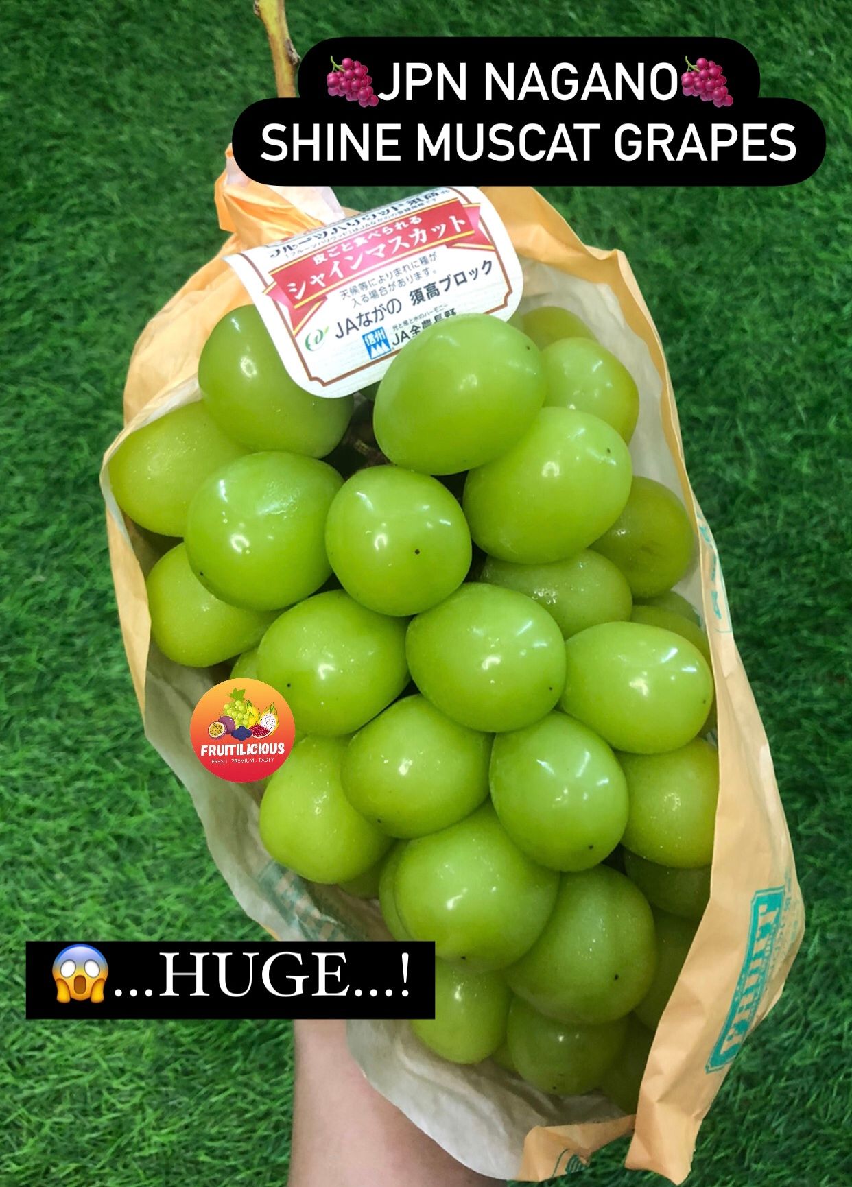 JAPAN NAGANO SHINE MUSCAT GREEN SL GRAPES_2