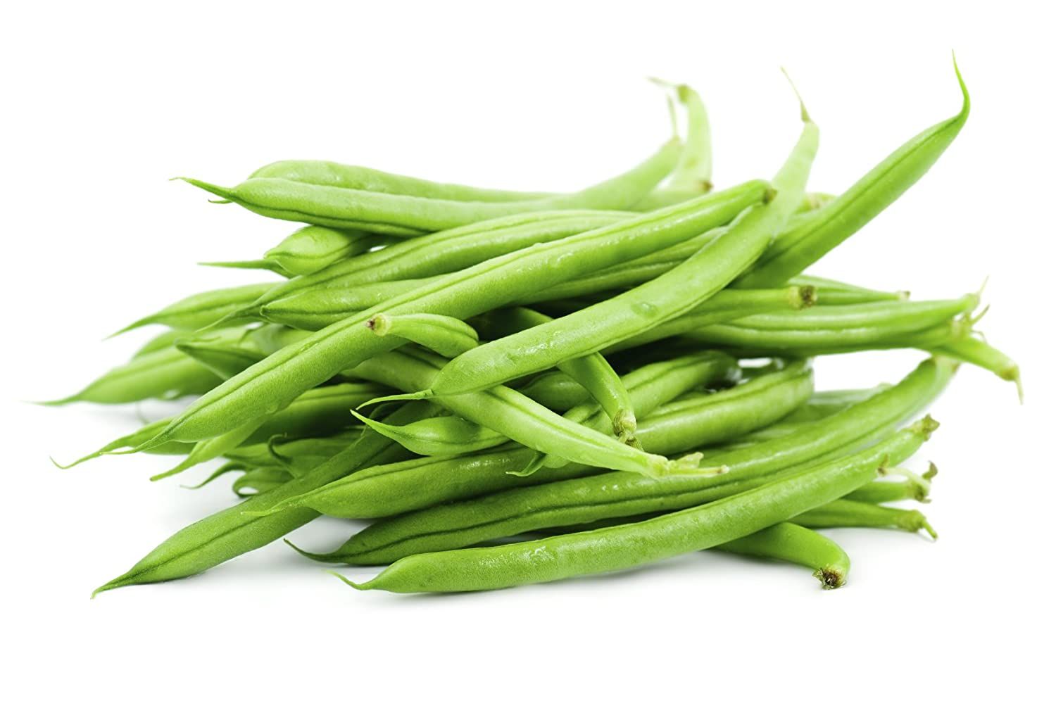 French Beans/ 四季豆_0