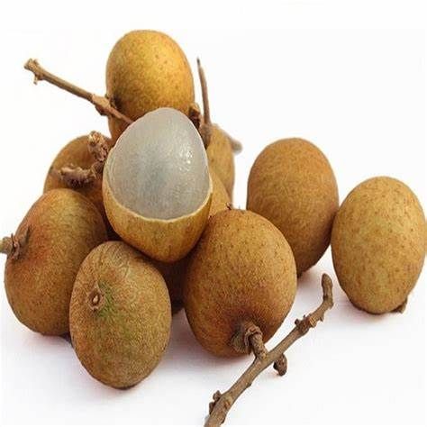 Longan - 龙眼 _1