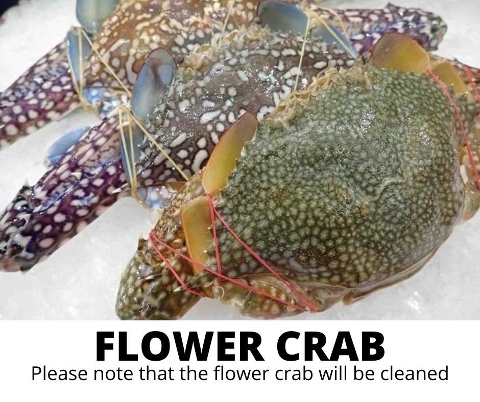 FLOWERCRAB_0