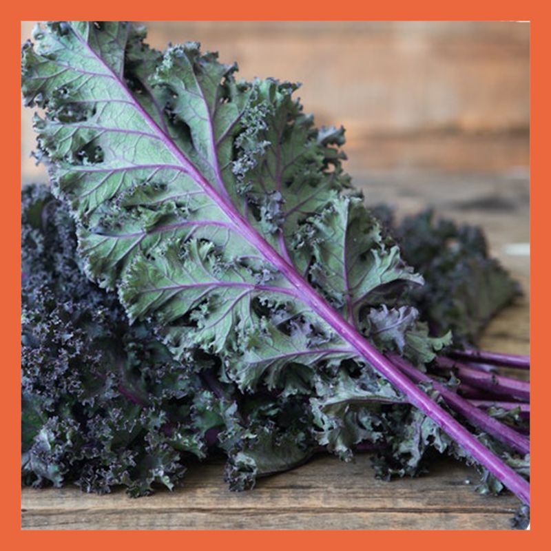 Plucked's Red Curly Kale (200g)_0