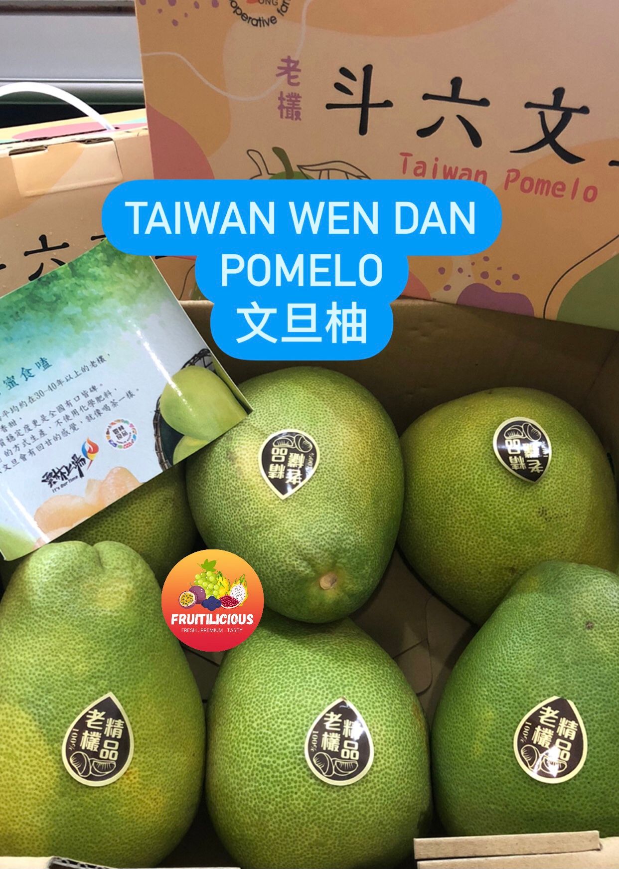 TAIWAN WEN DAN POMELO (文旦柚) _2