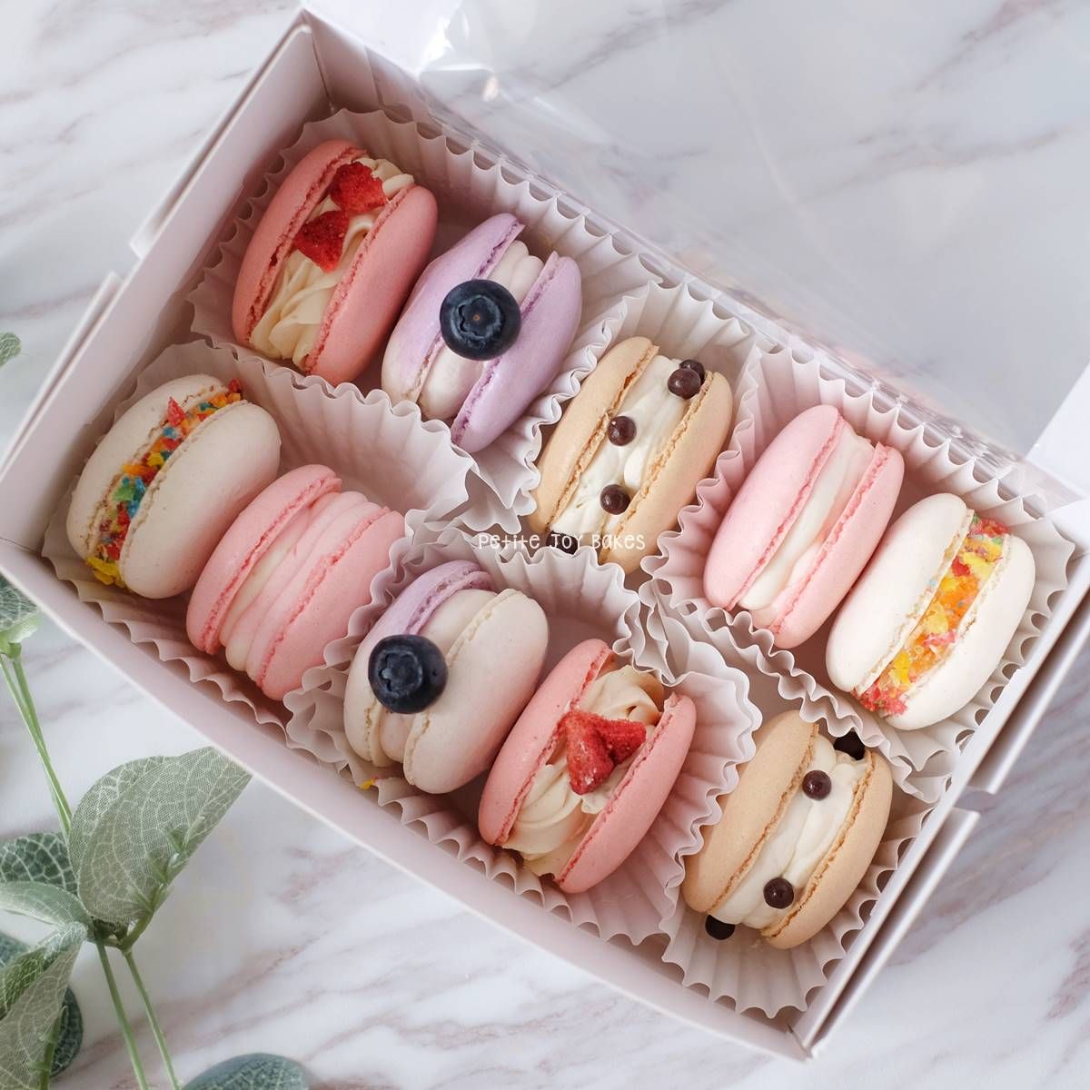 Macaron Box (5 Sets)_0