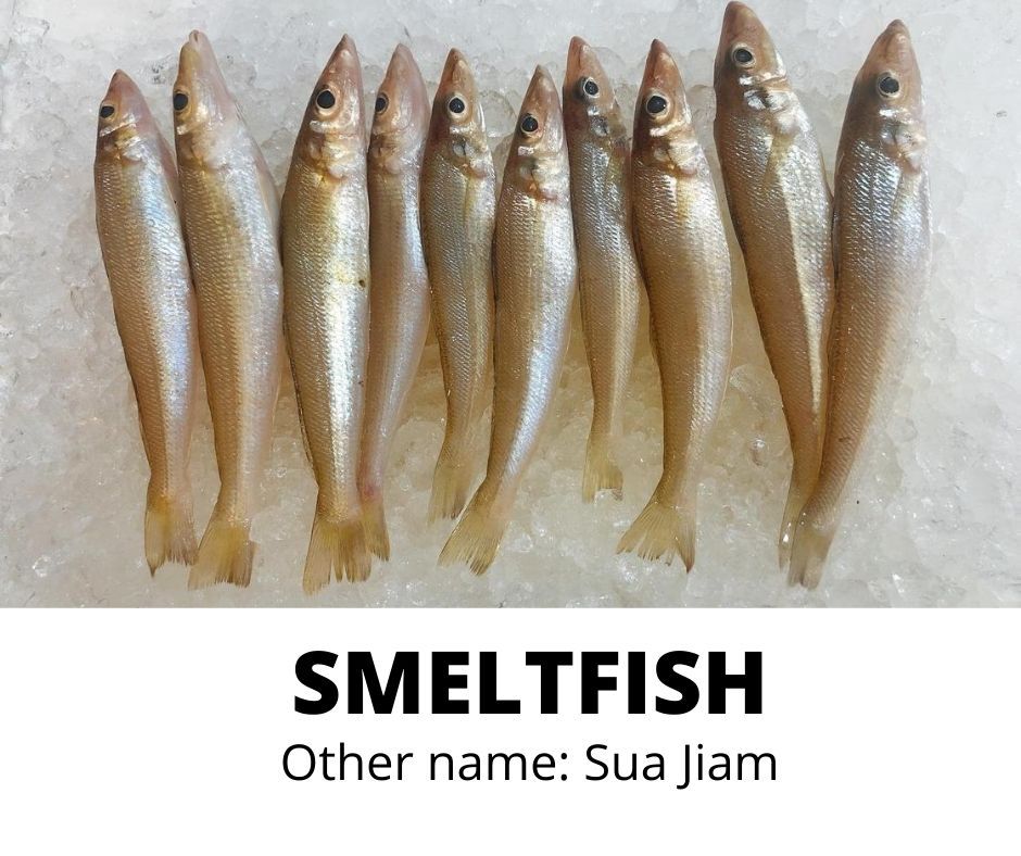 SMELTFISH (SUA JIAM)_0