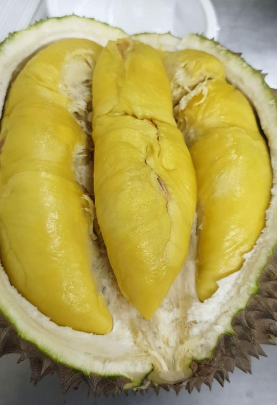 🐯🏆Black Gold Premium Big MSW Durian Fresh Open 500g/bx (Minimum Order 3bx)_0