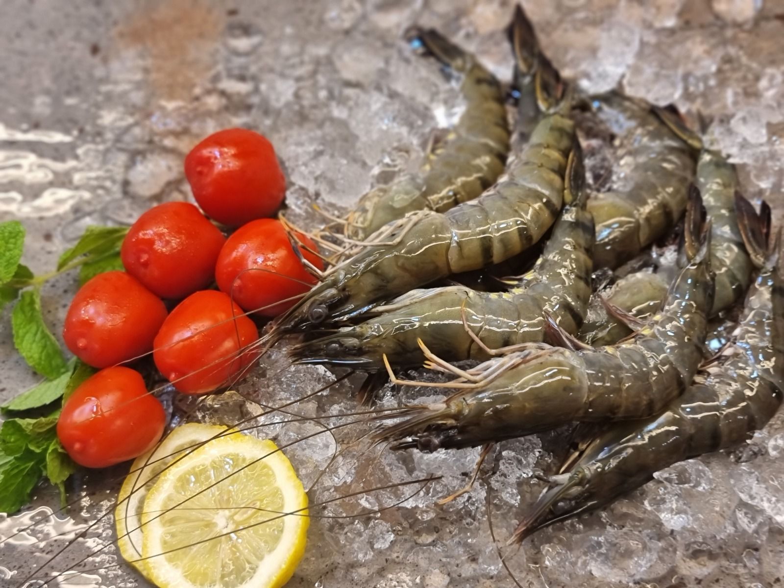 Fresh Tiger Prawns 老虎虾_1