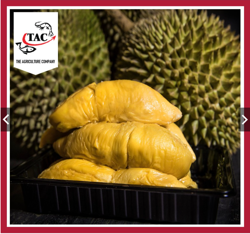 Raub Black Gold MSW Durian 黑金猫山王榴莲_1