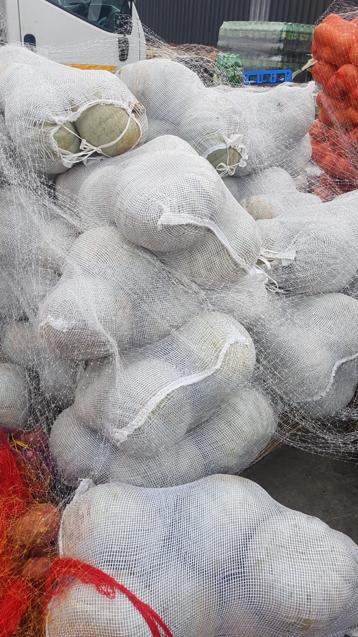 Pumpkin _0
