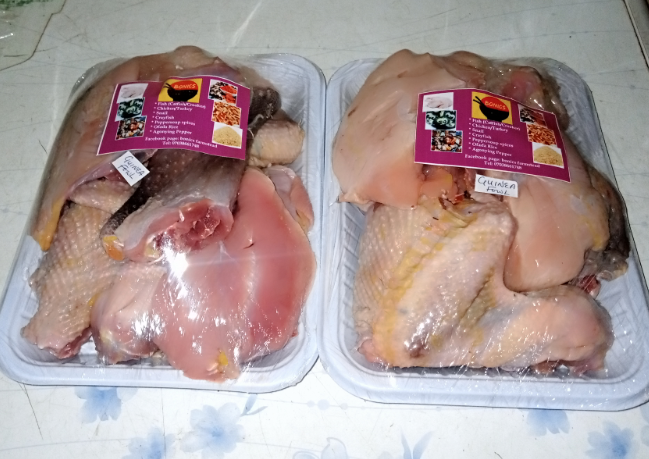Guinea Fowl_0